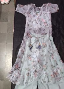 Floral Print Sheer Ruffle Dress