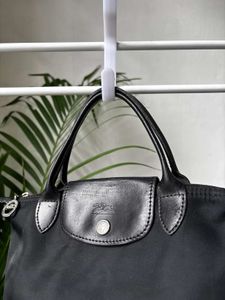 Longchamp Handbag