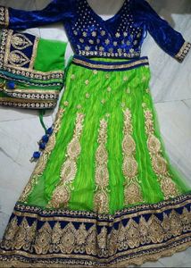 Elegant Lehenga Choli Set