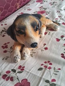 Adorable Plush Dog Toy