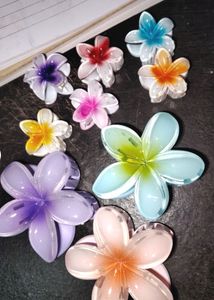 Flower Claw Clips