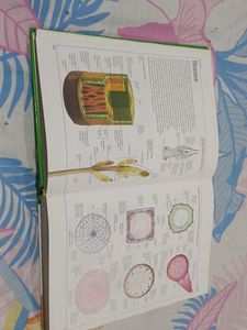 Visual Dictionary
