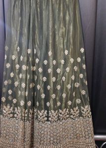 Olive Green Pakistani Outfit