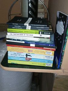 Assorted Fiction Books Bundle
