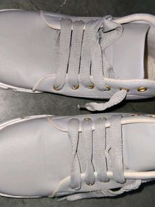Zapatoz  Grey Lace-up Ankle Length Boot Shoes