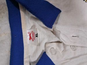 Vibrant Casual Polo Tshirt Men