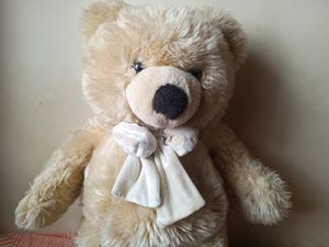 Super Cute Teddy Bear 🧸🧸🧸