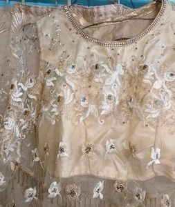 Beautiful Backless Golden Blouse With Pochu