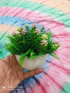 2 Flower Pots