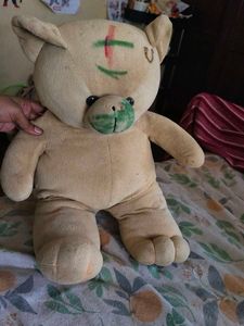 Teddy Bear