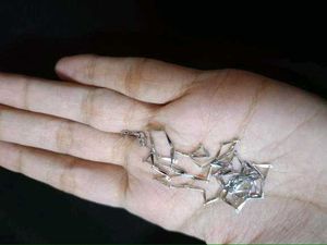 Silver Chain