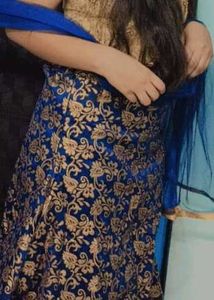 Elegant Lehenga Choli