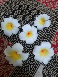 Women's Hair Flower Clips Any 3