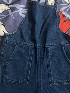 Cute Denim Zara Overalls