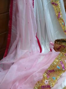 Beautiful Organza Dupatta Suit Set