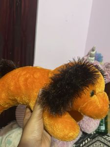 Toy Dog For Sale