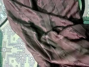 Brown Striped Sari