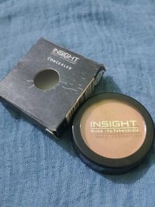 Insight Concealer