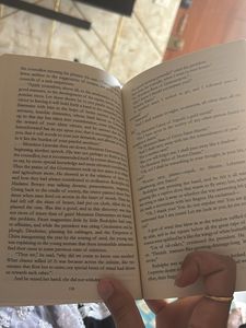 Brand New Madame Bovary