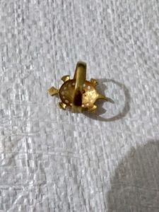 Turtle Ring