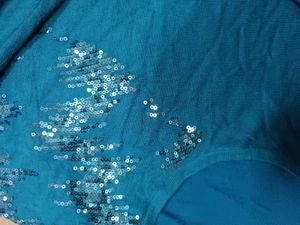 Blue Sequin Embellished Knit Top