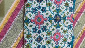 Elegant Ethnic Saree