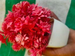 Table Flower