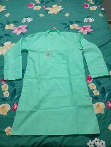 Men's Cyan Light Green