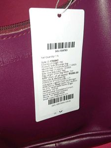 Savana Purple Hobo Bag