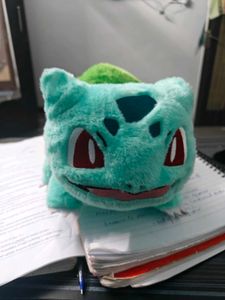 Pokemon Edition Soft Toy