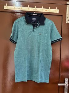 Arrow Polo Shirt - Teal
