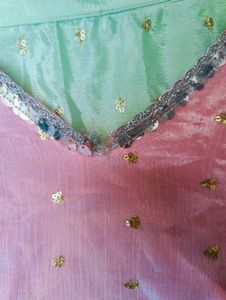 Pastel Lehanga Choli Set