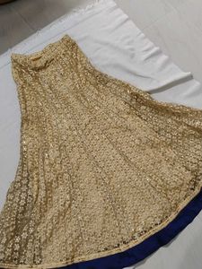 Gold Embellished Ethnic Skirt