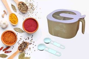 Spices & Dry fruits Box with 2 Spoons Set