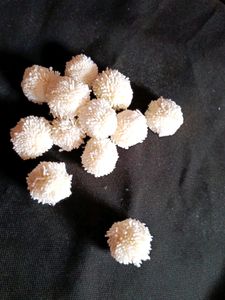 Pom Pom