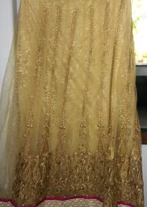 Elegant Ethnic Gown