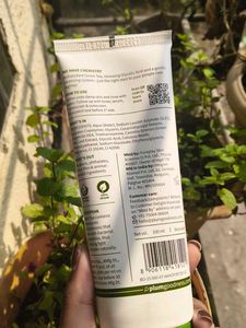 Plum Green Tea Face Wash