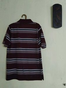 Dear Class Striped Polo Shirt