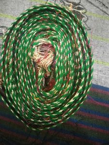 Green &amp; Gold Saree Border