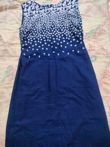 Blue &amp; White Print Dress
