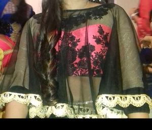 Beautiful Designer Saree Two Colour Net Design