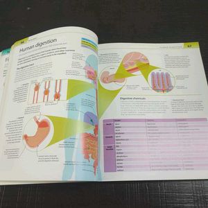 Help Your Kids With Science -A Unique Visual Guide