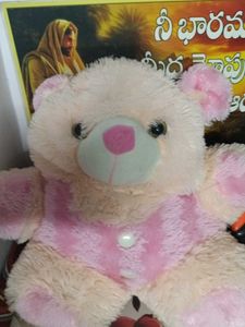 Cute Plush Teddy Bear