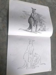 pencil shading/cushions