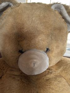 Big Size Teddy
