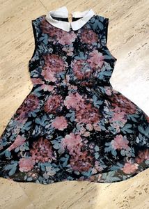 Floral Peter Pan Collar Dress