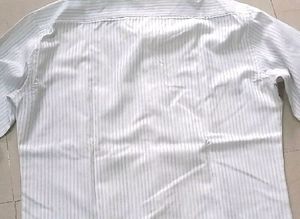 Price Drop Shirt
