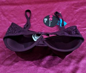 Clovia Bra Size 34F