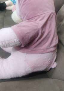 Pink Hoodie Teddy Bear(fixed price)