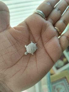 Pure Silver Lizard Nd Tortoise Fir Laxmi Pooja.